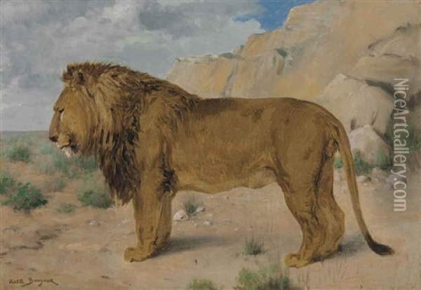 Study Of A Lion Oil Painting - Rosa Bonheur