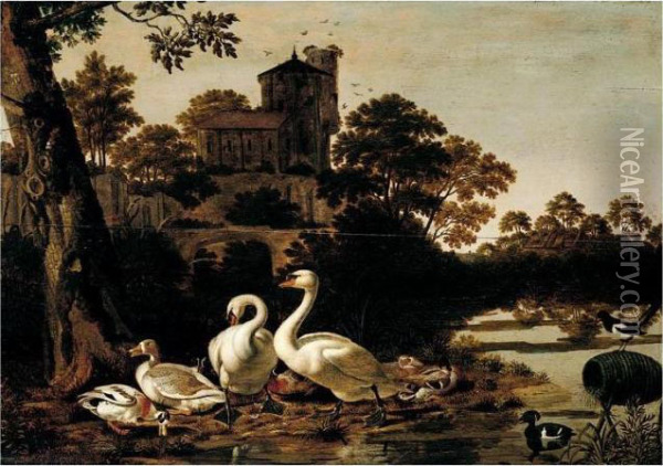 A River Landscape With Swans, 
Geese, Mallard, Tufted Duck And A Magpie, A Church On A Hill-top Beyond Oil Painting - Dirck Wyntrack