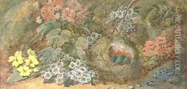Primroses and a bird's nest on a mossy bank Oil Painting - Vincent Clare