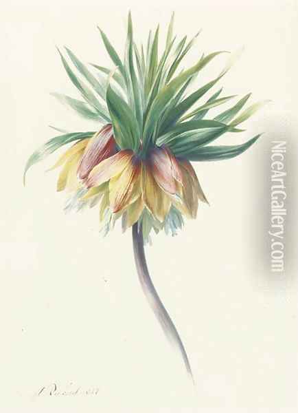 Fritillaria imperialis (Crown Imperial) Oil Painting - Hendrik Reekers