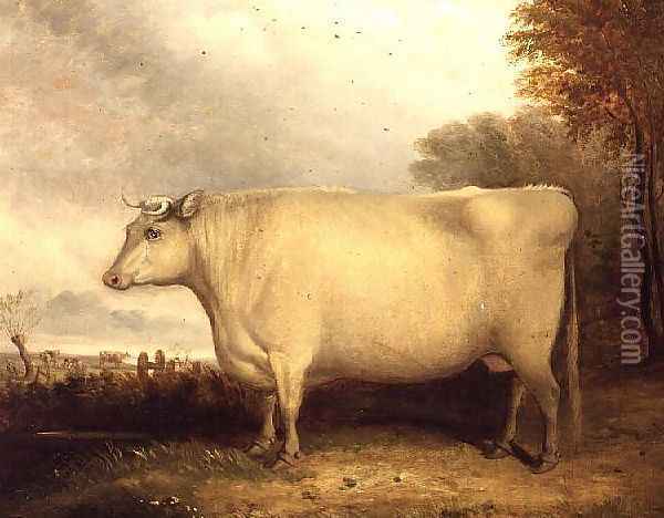 White, Short-horned Cow in a Landscape Oil Painting - John Vine