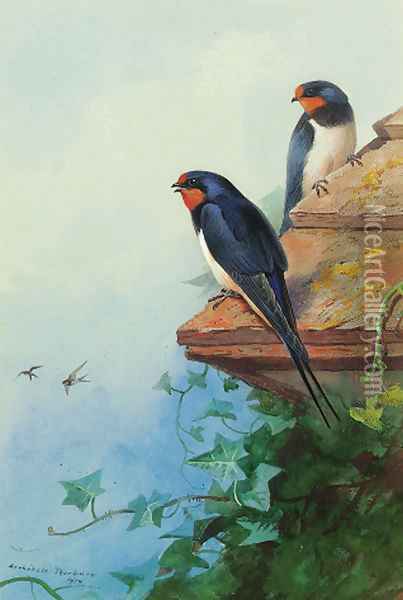 Swallows on an ivy-covered roof Oil Painting - Archibald Thorburn