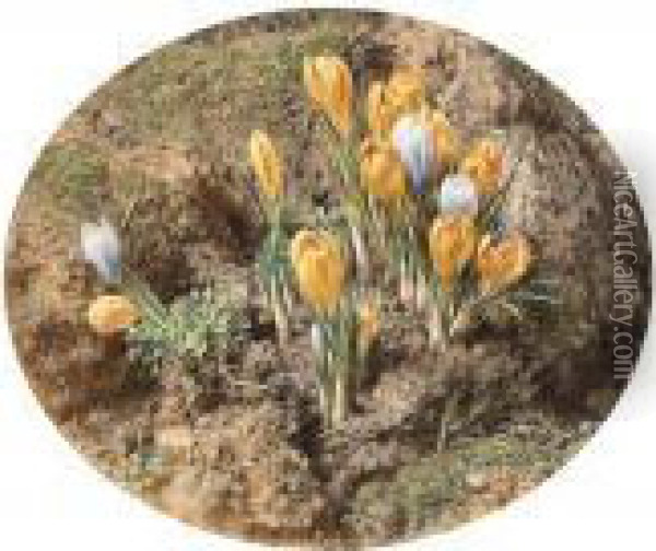 Crocuses Growing On A Mossy Bank Oil Painting - William Henry Hunt
