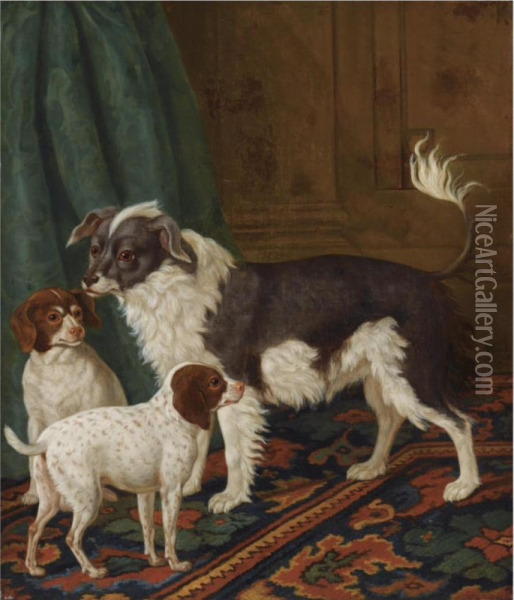A Longhaired Black-and-white Dog With Bushy Tail And Two Brown Spotted White Puppies In An Interior Oil Painting - Tethart Philip Christiaan Haag