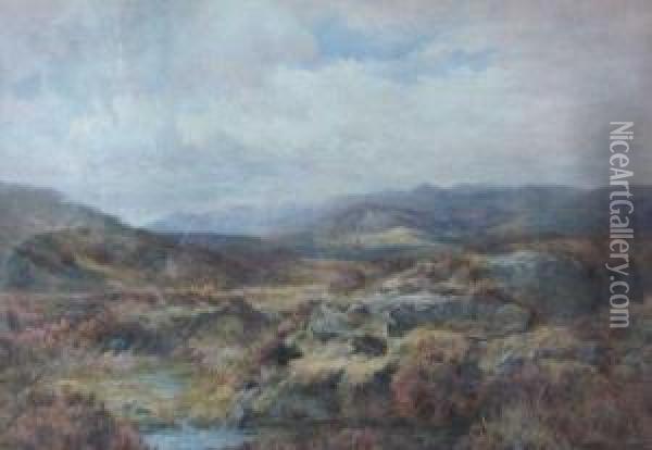 'a Moorland Bettwys Y Coed' Oil Painting - Samuel William Oscroft