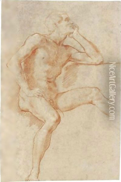 Study Of A Male Nude, Seated, Resting His Chin On His Left Hand Oil Painting - Baldassarre Franceschini