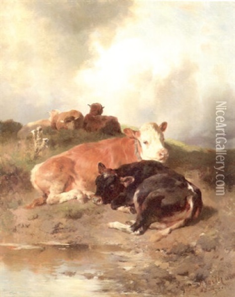 Ruhende Schafe Und Kalber Oil Painting - Anton Braith