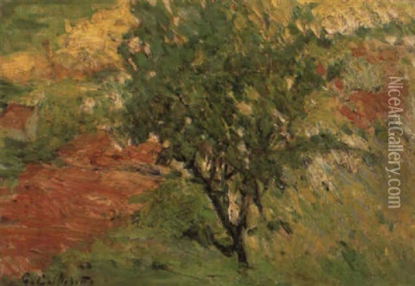Arbre Au Bord D'un Sentier Oil Painting - Gustave Caillebotte