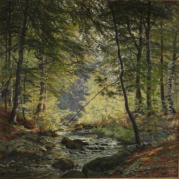 Stream In A Forest Oil Painting - Johannes Boesen