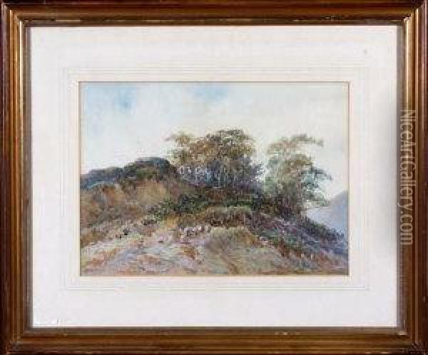 A Tree-topped Hill With Sheep Grazing In The Foreground Oil Painting - Edwin F. Cole