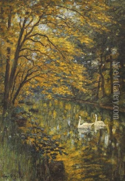 Swans On A River Oil Painting - Aloysius C. O'Kelly