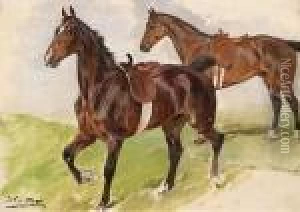 Two Saddled Horses Oil Painting - Julius von Blaas