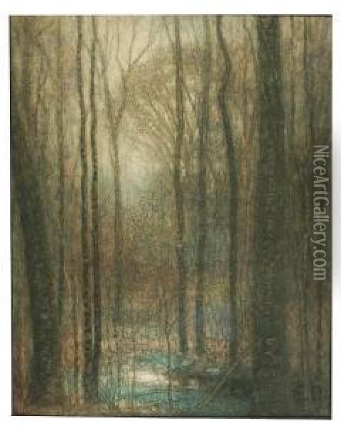 Forest Scene. Oil Painting - Harry Spiers