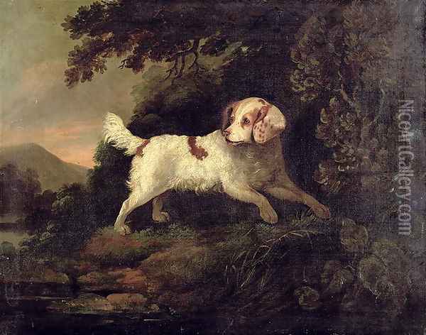 Study of Clumber Spaniel in Wooded River Landscape Oil Painting - Edward Cooper