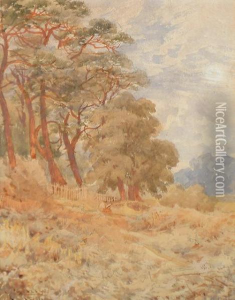 At The Edge Of The Woods Oil Painting - John Carlisle