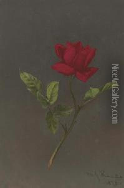 Red Rose Oil Painting - Martin Johnson Heade