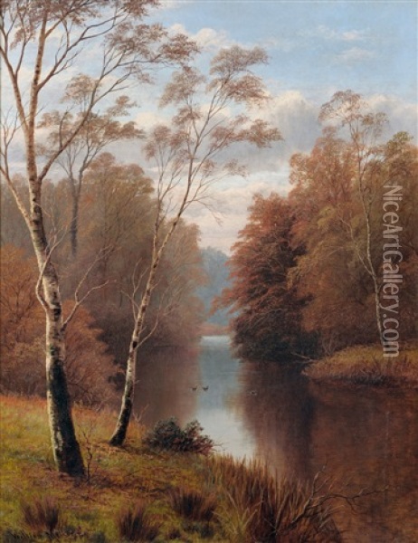 Silver Birch Trees Beside A River Oil Painting - William Mellor