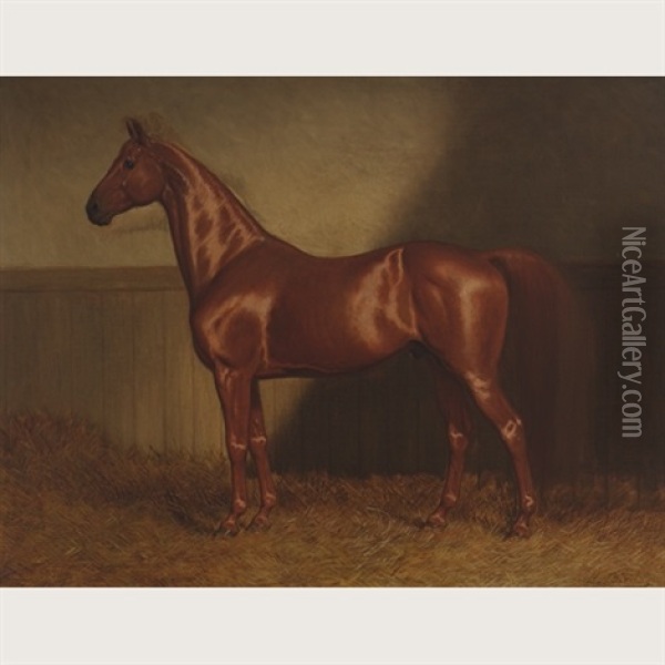 Chestnut Horse In A Stable Oil Painting - John Alexander Harington Bird