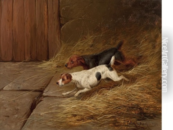 Terriers In A Barn (+ Terriers At A Hole; Pair) Oil Painting - Colin Graeme