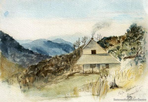 Top House, Nelson, Dun Mountain Oil Painting - Sophia Augusta Lysaght Nee Moore