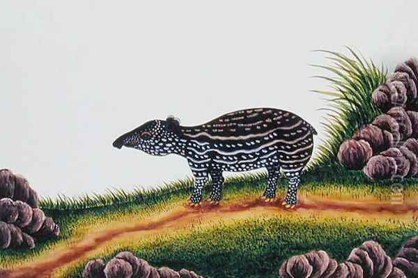 Young Tapir of Malacca, from 'Drawings of Animals, Insects and Reptiles from Malacca', c.1805-18 Oil Painting - Anonymous Artist