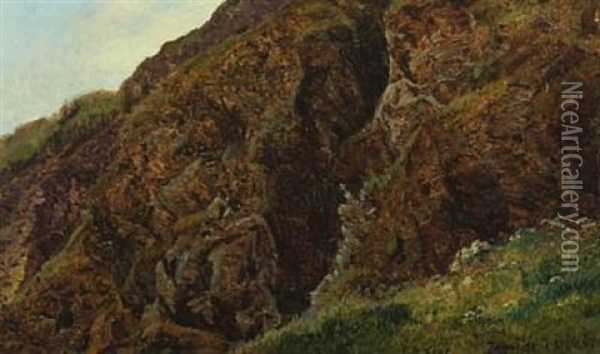 Klippeparti Zermatt Oil Painting - Janus la Cour