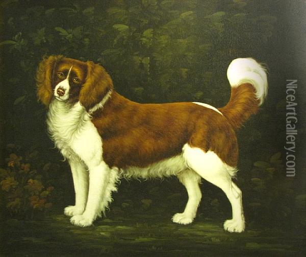 Spaniel In A Landscape Oil Painting - George Stubbs