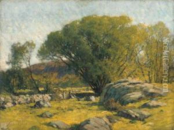 Cape Ann Pastureland Oil Painting - Frederick John Mulhaupt