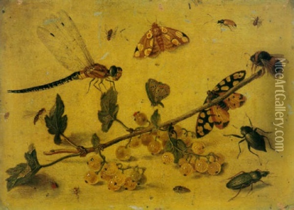 A Study Of A Sprig Of Gooseberries, A Dragonfly, Butterflies, Beetles, Spiders And A Bee Oil Painting - Jan van Kessel the Elder