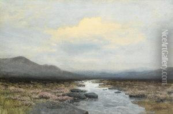 A North Antrim Bog Oil Painting - William Percy French