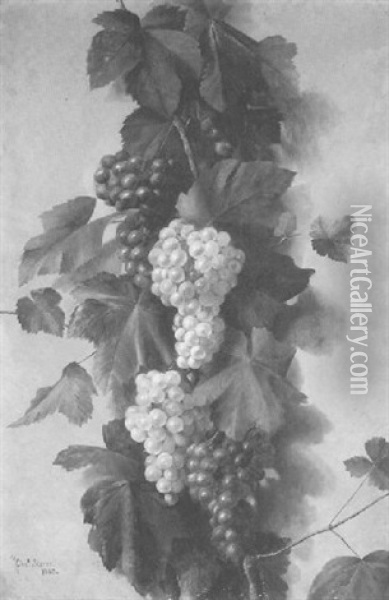 The Grape Vine Oil Painting - Charles Storer