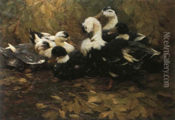 Canards Dans Les Feuillages Oil Painting - Alexander Max Koester