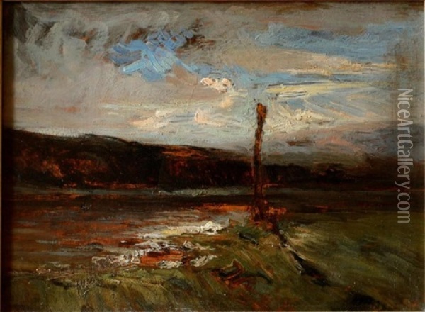 Effet De Lumiere, Arbre En Bord De Mare Oil Painting - Auguste Francois Ravier