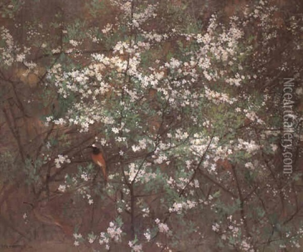 Gartenrotschwanzpaar In Bluhendem Weissdorn Oil Painting - Jean Boe Niestle