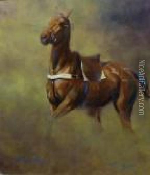 Polo Pony Oil Painting - James Hardy