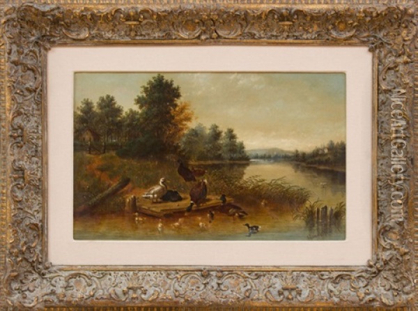 Ducklings Oil Painting - Howard Hill