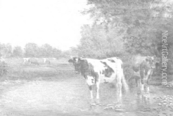 Cows Watering In A Stream Oil Painting - Clinton Loveridge