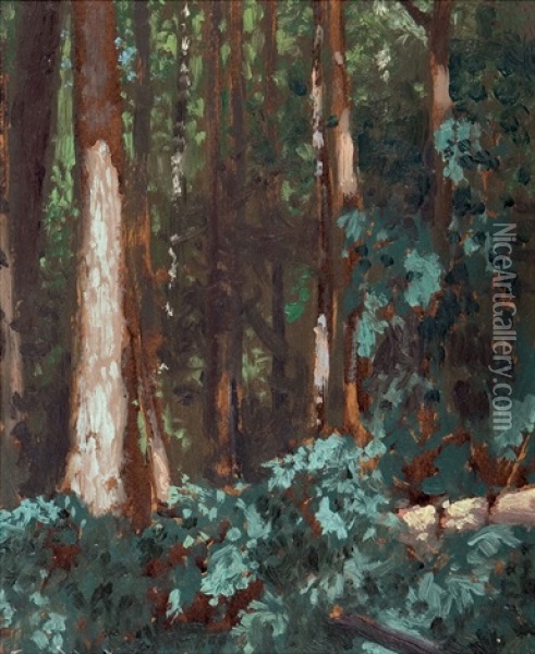 Forest Interior Oil Painting - Francis Hans Johnston