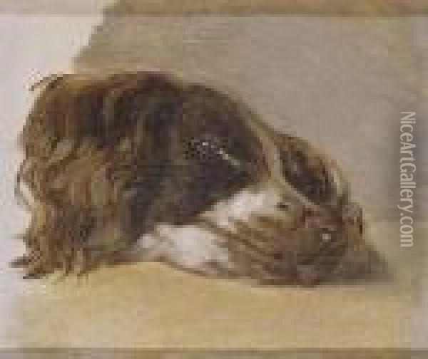 Cabeza De Perro Oil Painting - Johann Matthias Ranftl