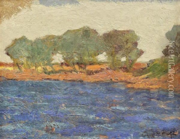 Pe Malul Lacului Oil Painting - Nicolae Tonitza
