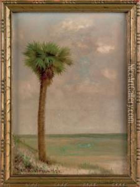 Florida Landscape With Palm Tree Oil Painting - Ben Austrian