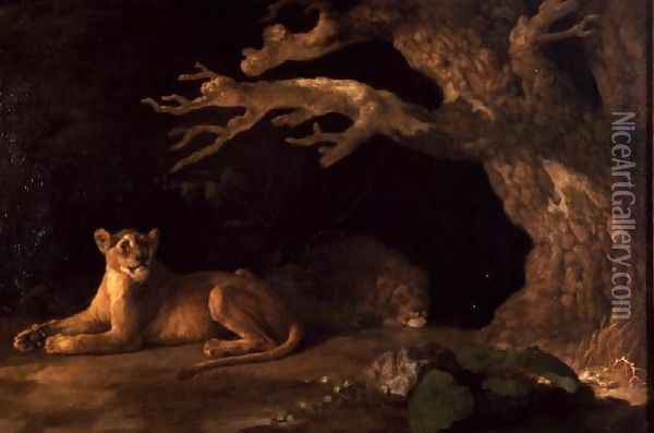 A Lion and a lioness Oil Painting - George Stubbs