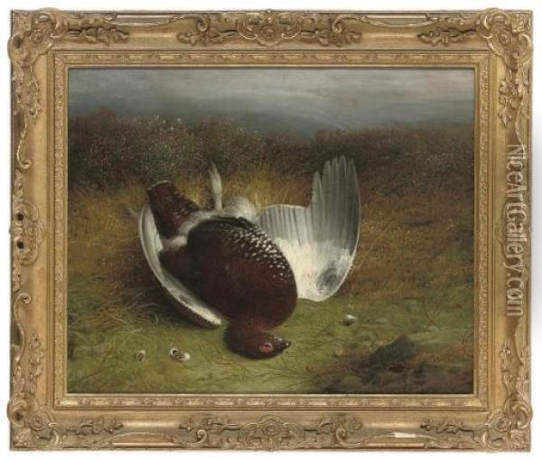 A Dead Grouse On A Moor Oil Painting - Abel Hold