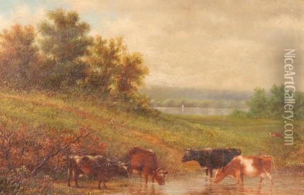 Cattle At The Stream Oil Painting - John William Casilear