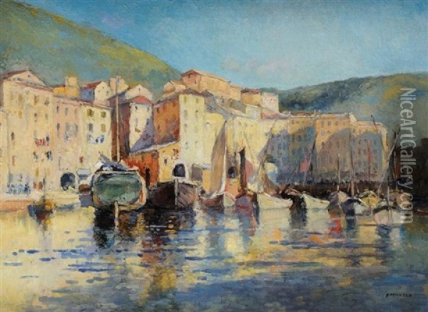 Le Port De Camogli Oil Painting - Henri Pierre Paillard