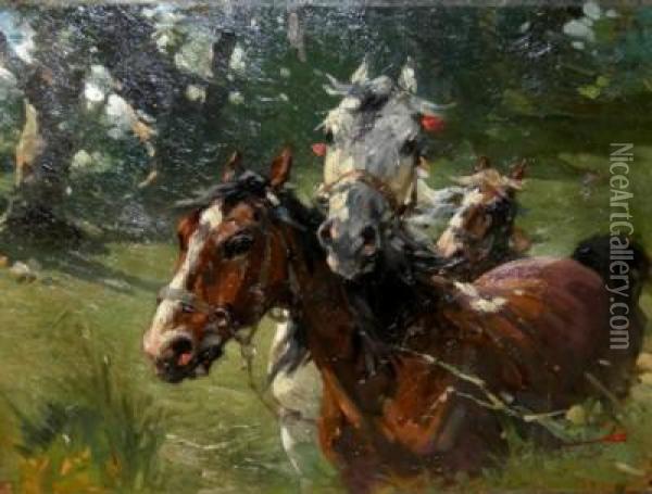 Cavalli Al Galoppo Oil Painting - Alfredo Tominz