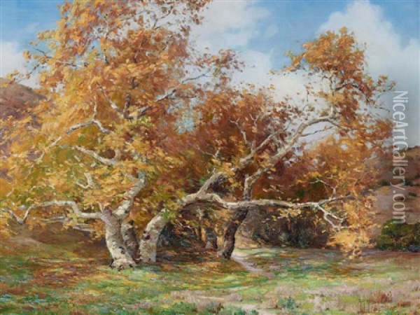 Trees In Laguna Canyon Oil Painting - Anna Althea Hills
