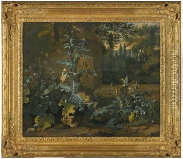 Thistles, Dock, And Other Forest-floor Plants In A Parkland Setting With Frogs, Butterflies, And Snails Oil Painting - Dirk Maes