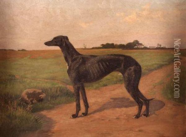 Study Of A Greyhound In An Extensivelandscape Oil Painting - G. F. Waldo Johnson