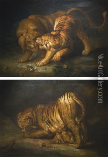 A Tiger And A Lion; And A Tigress And Her Cubs Threatened By A Snake Oil Painting - Johann Georg de Hamilton